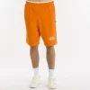 Erreà SS25 Fleece Shorts* Sport Shorts
