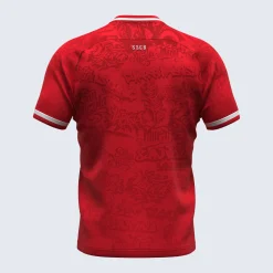 Erreà SSC Bari 2024/2025 Pre-Match Jersey* Ssc Bari
