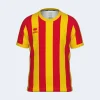 Erreà Strip jr football shirt*Kids Sport T-shirts, Polos