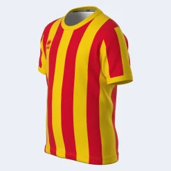 Erreà Strip jr football shirt*Kids Sport T-shirts, Polos